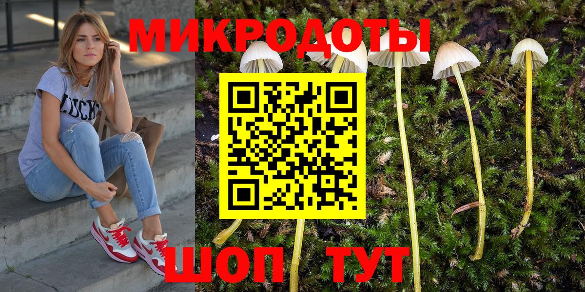 Галлюциногенные грибы Psilocybine cubensis  Вход с VPN  Избербаш 