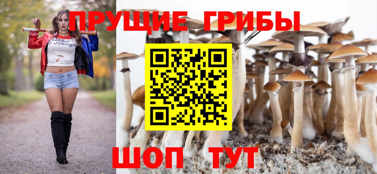 Галлюциногенные грибы мухоморы Избербаш